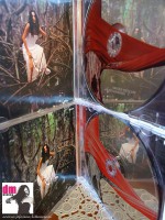 /album/fotogaleria/a1374941-681887388511291-1436988024-n-jpg/